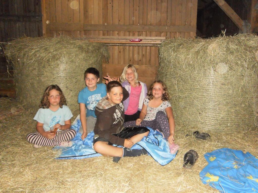 Familienbauernhof Strassbauer Farm stay Steinakirchen Am Forst